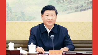 在二十届中央政治局第四次集体学习时的讲话